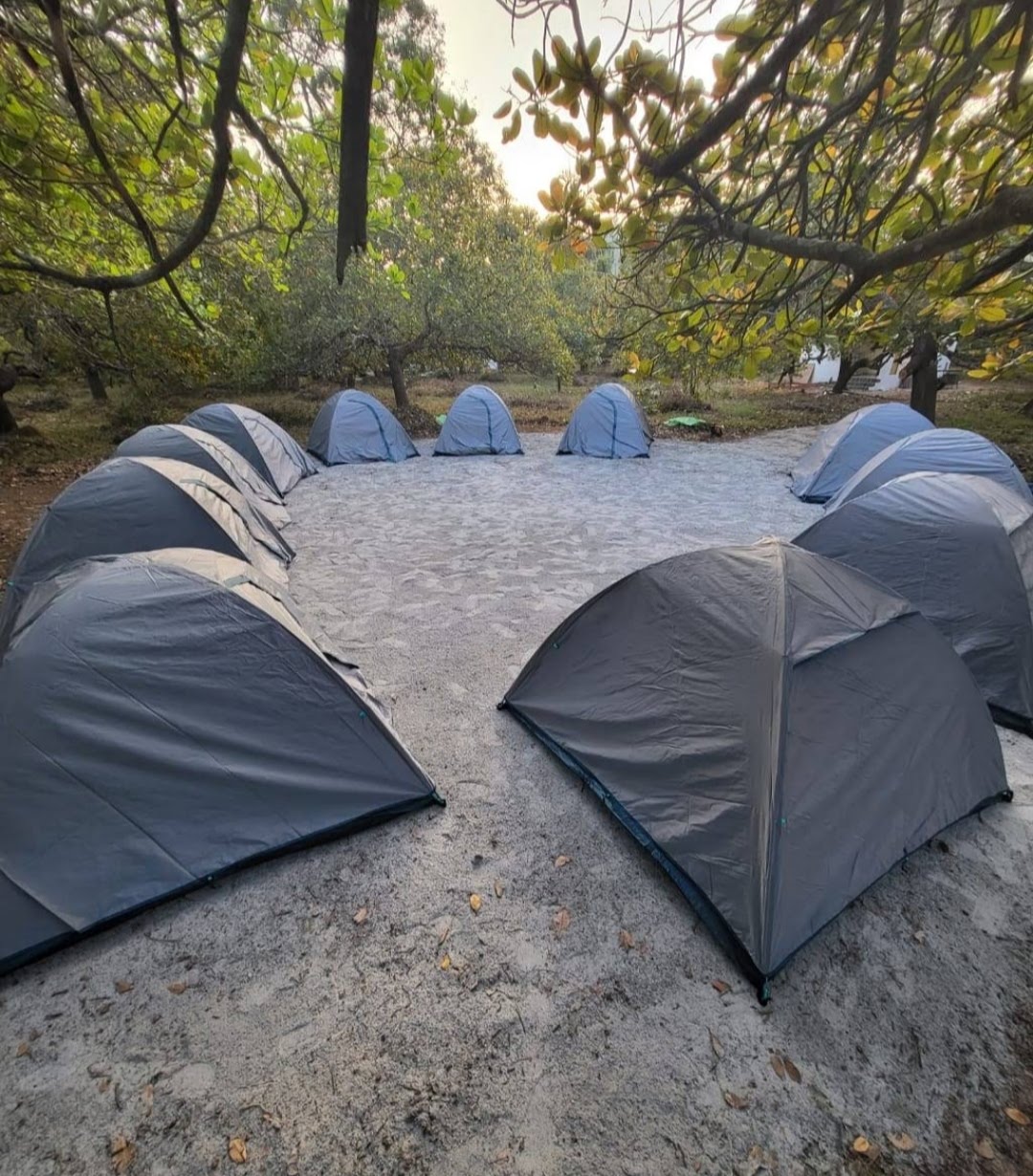 Camping Tents