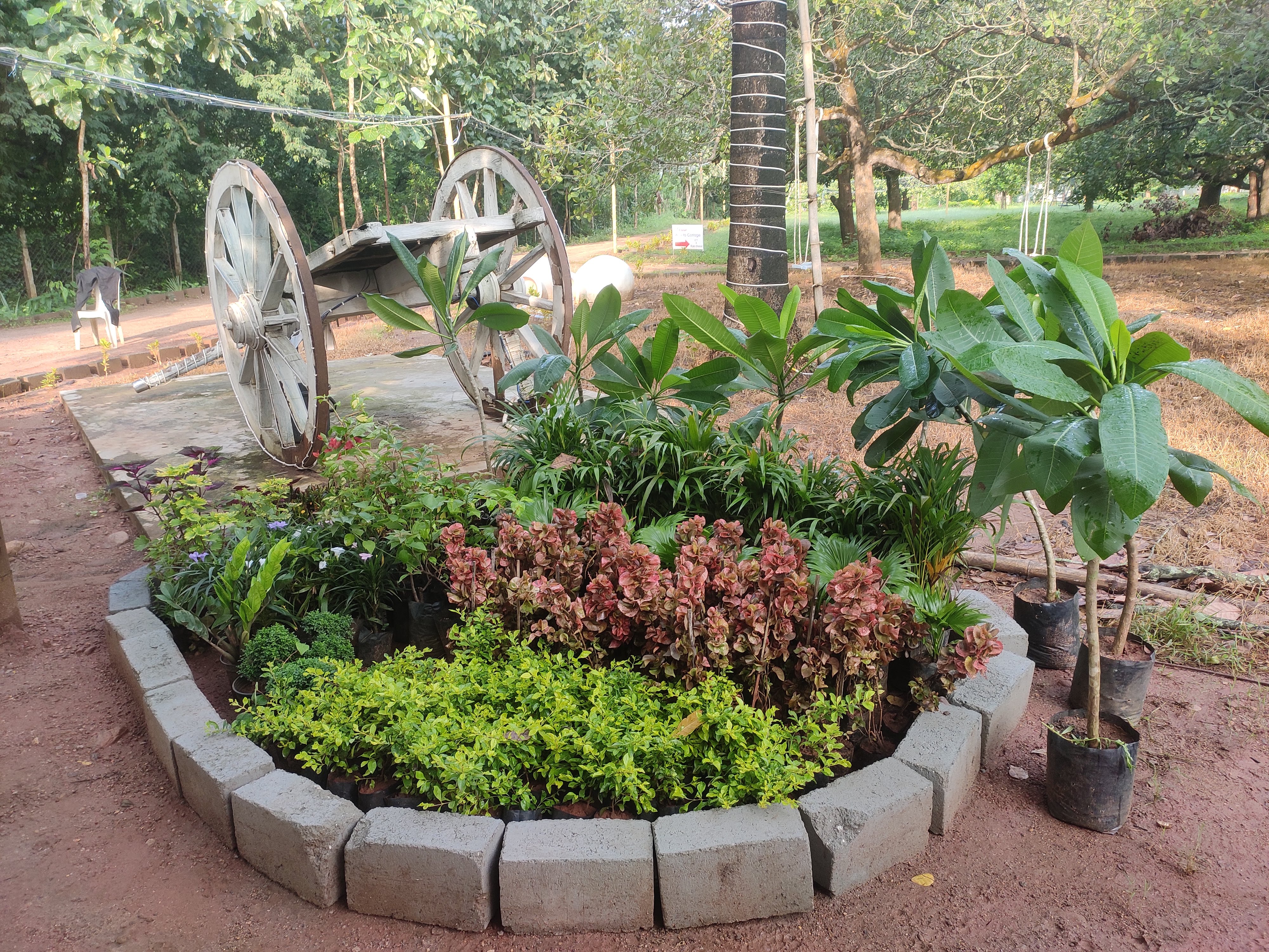 Vintage Cart in Garden