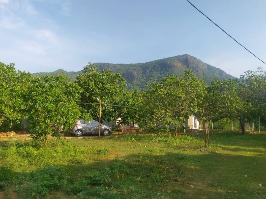 Mountain View from Resort